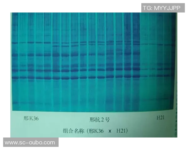足球场上的激光笔现象与其对比赛的影响分析